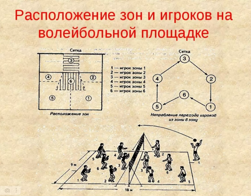 Правила игры в волейбол по пунктам: где, кто, чем и как - Блог | FindSport